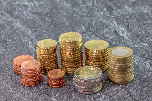 SALARIO MINIMO: UN RAGIONAMENTO NON SOLO ITALIANOa cura di Renato Strumia Sallca – CUB
