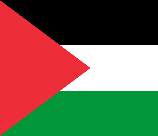 Scopri di più sull'articolo Io sciopero per Gaza. Tu?